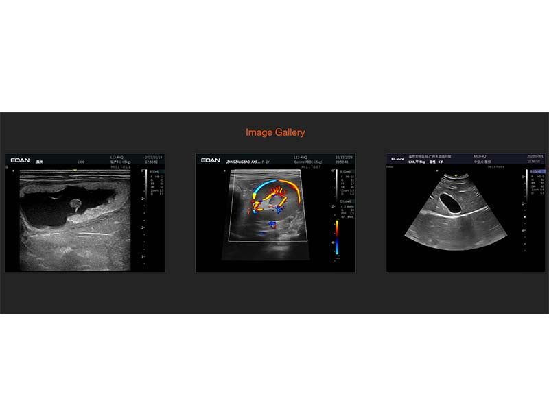 1. Acclarix AX9 VET Veterinary Portable Ultrasound (1)