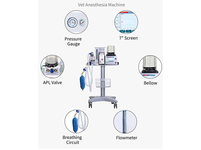 GHM-6B Veterinary Anesthesia System