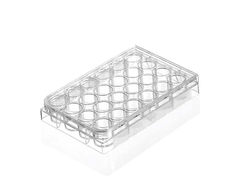 Kangjian Multi Well Plate (1)