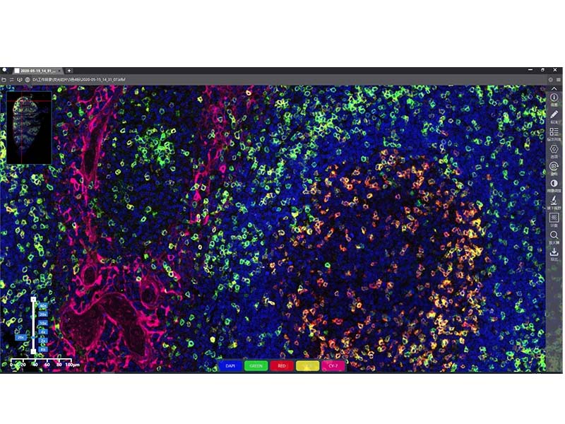 KFBIO KF-FL-005 Digital Pathology Slide Scanner (Fluorescence)