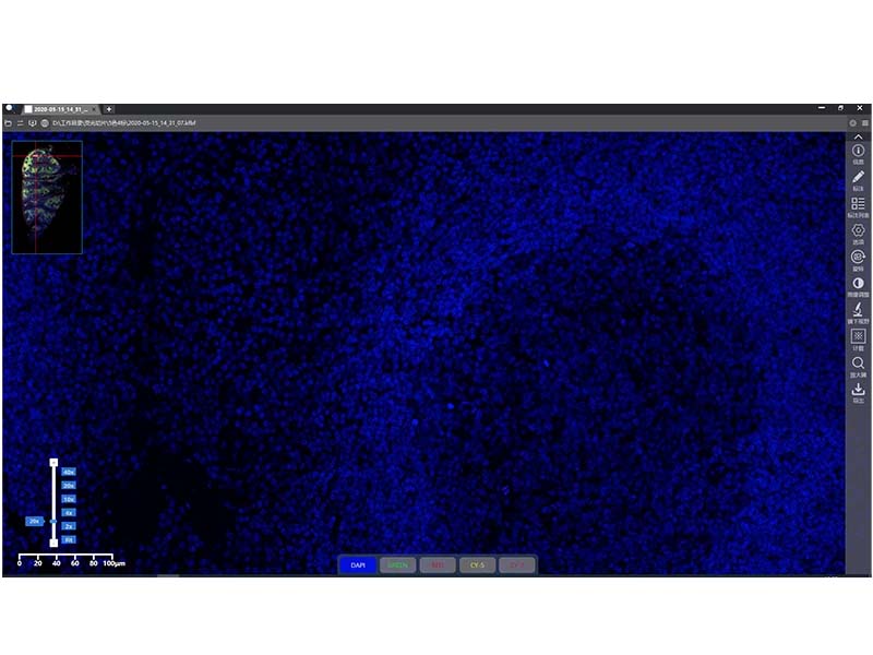 KFBIO KF-FL-120 Digital Pathology Slide Scanner (Fluorescence)
