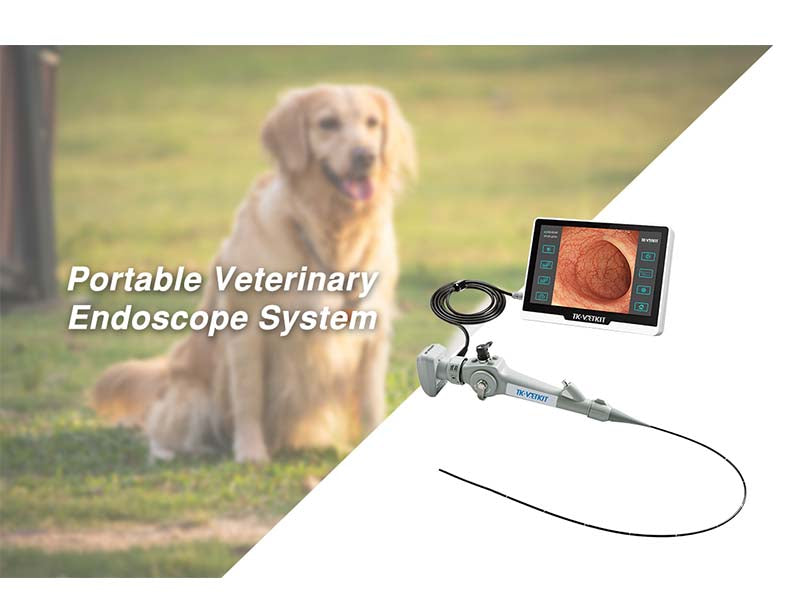 Portable Veterinary Endoscope System