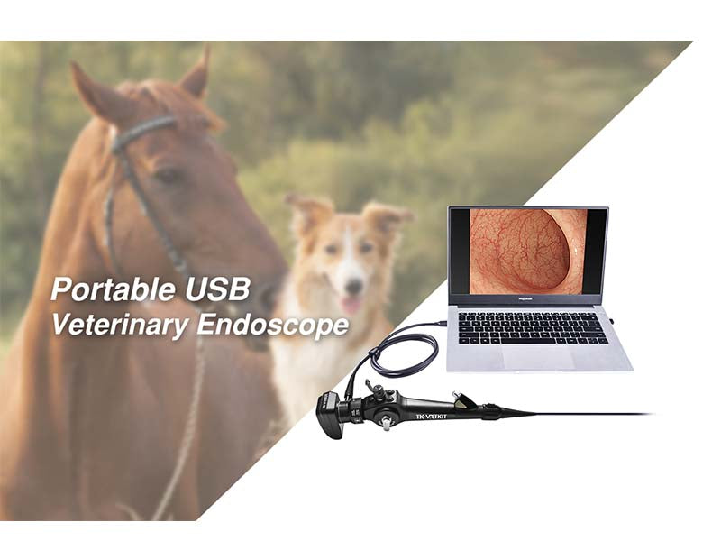 Portable USB Veterinary Endoscope