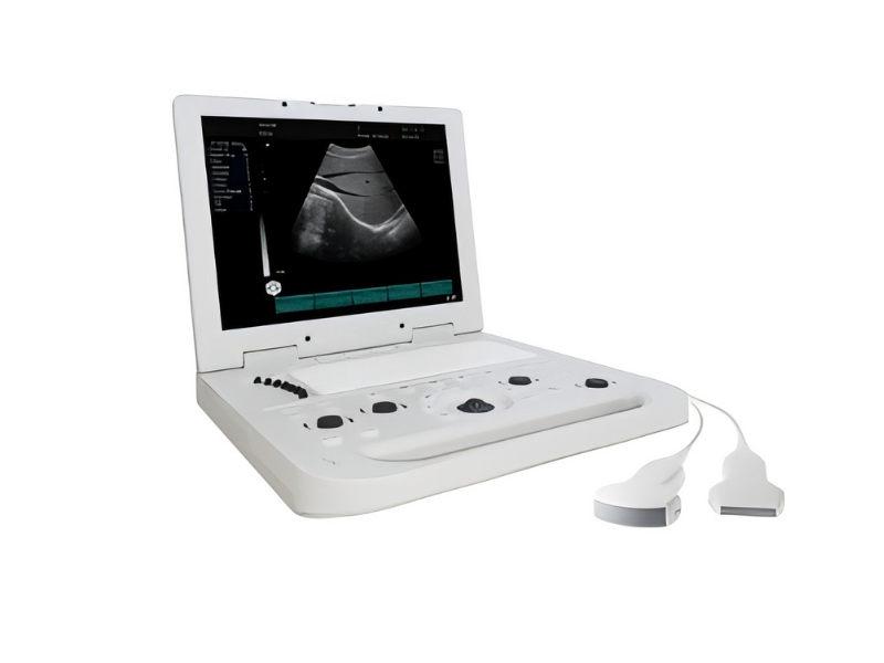 GHM20 Portal B&W Ultrasound#