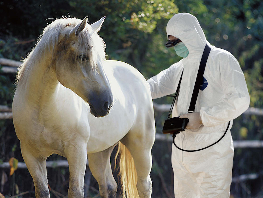 KX5200V Vet Ultrasound #