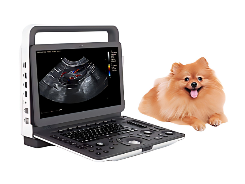 VU3 Veterinary Portable Classic Color Doppler Ultrasound System #