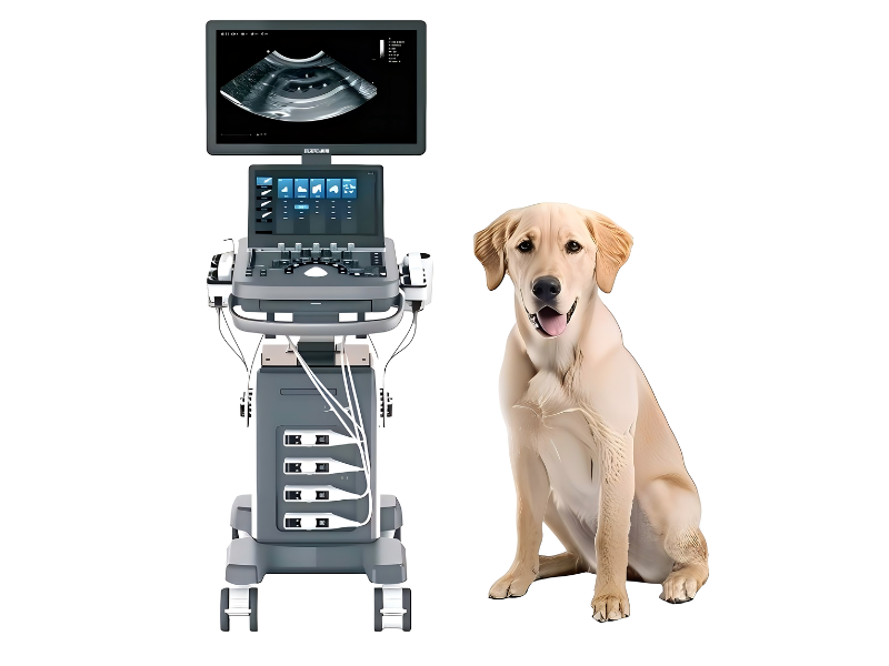 VU40 Veterinary Color Doppler Ultrasound System #