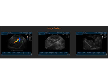 10. U50 VET Veterinary Portable Ultrasound (1)