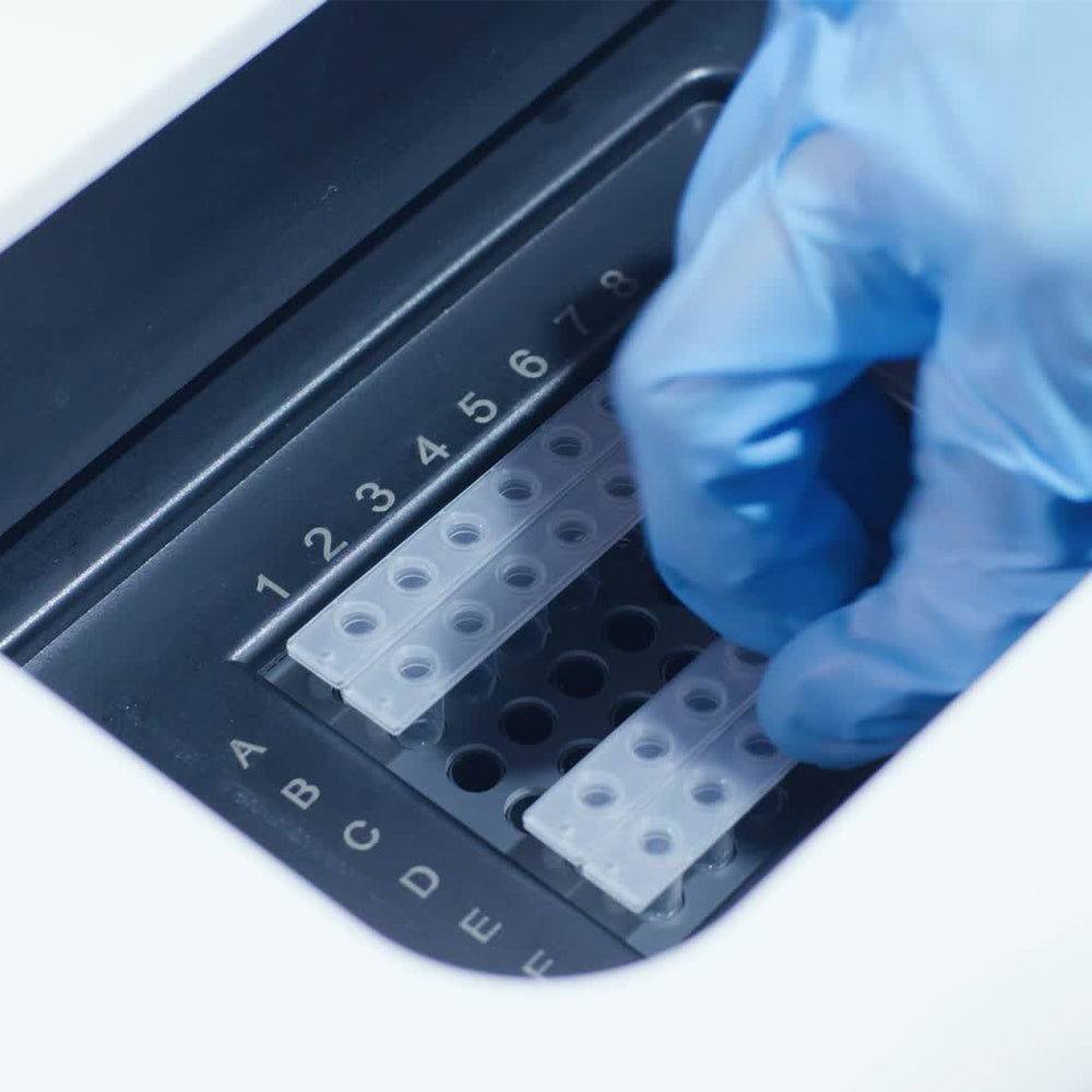 48 Wells Rapid qPCR System Fluorescent Quantitative PCR #