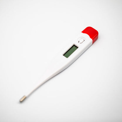 Household Clinical Digital Fever Thermometer Rigid Tip Thermometer #