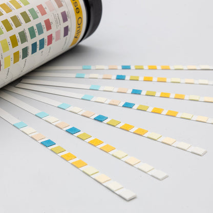 Handheld Portable Urine Analyzer Machine #