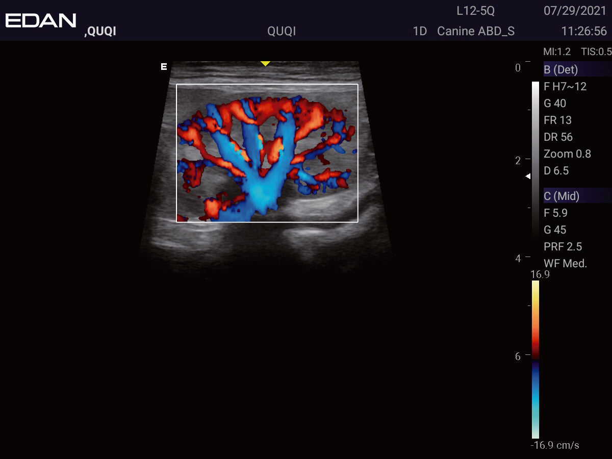 EDAN Acclarix LX3 Vet Ultrasound System