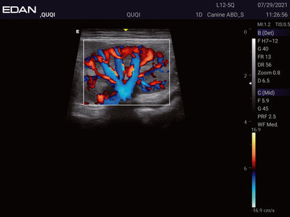 EDAN Acclarix LX3 Vet Ultrasound System