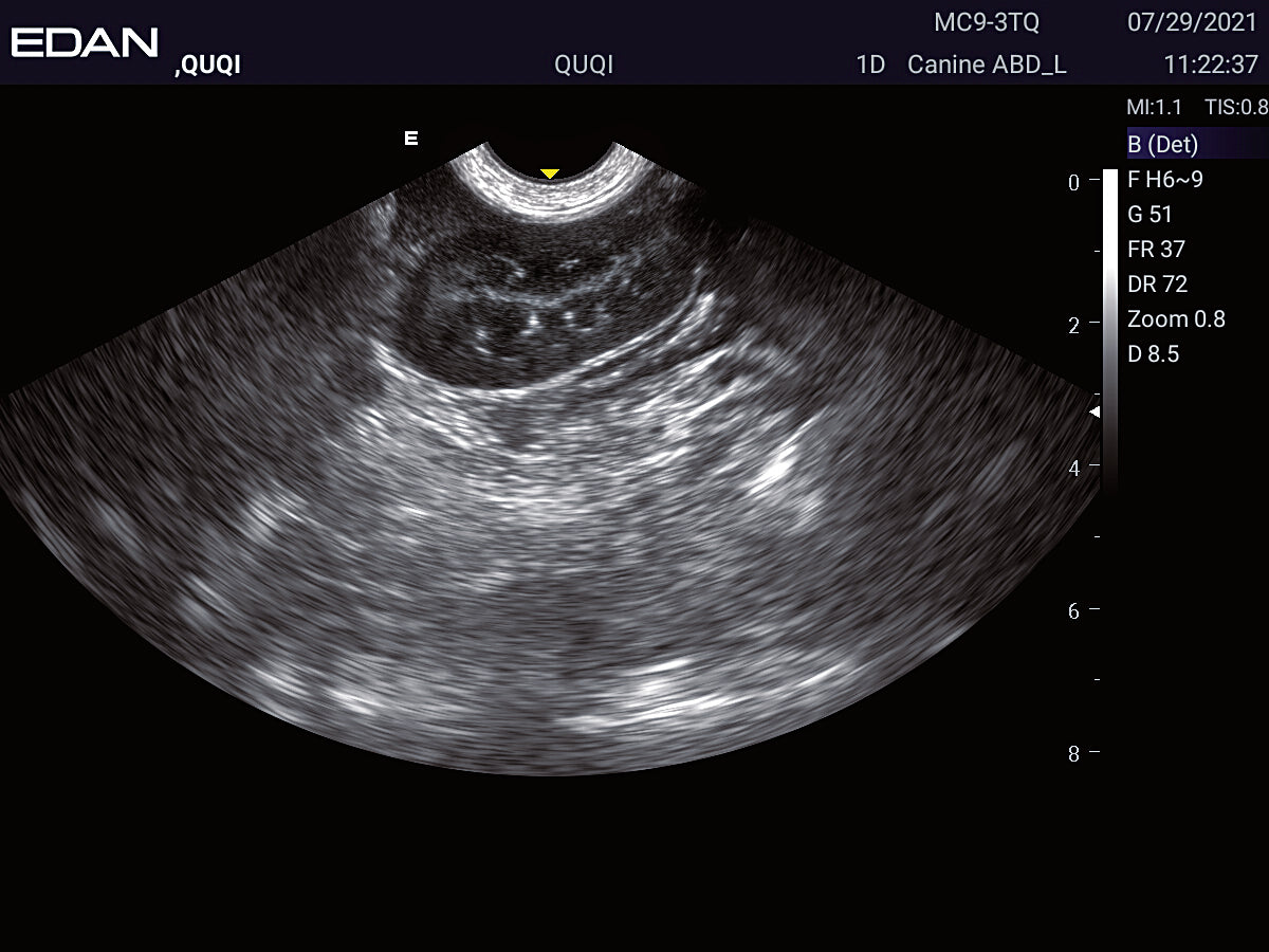 EDAN Acclarix LX2 Vet Ultrasound System