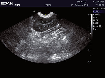 EDAN Acclarix LX2 Vet Ultrasound System