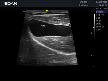 EDAN Acclarix AX2 Vet Ultrasound System