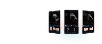 EDAN Acclarix GX9 Intrapartum Ultrasound System