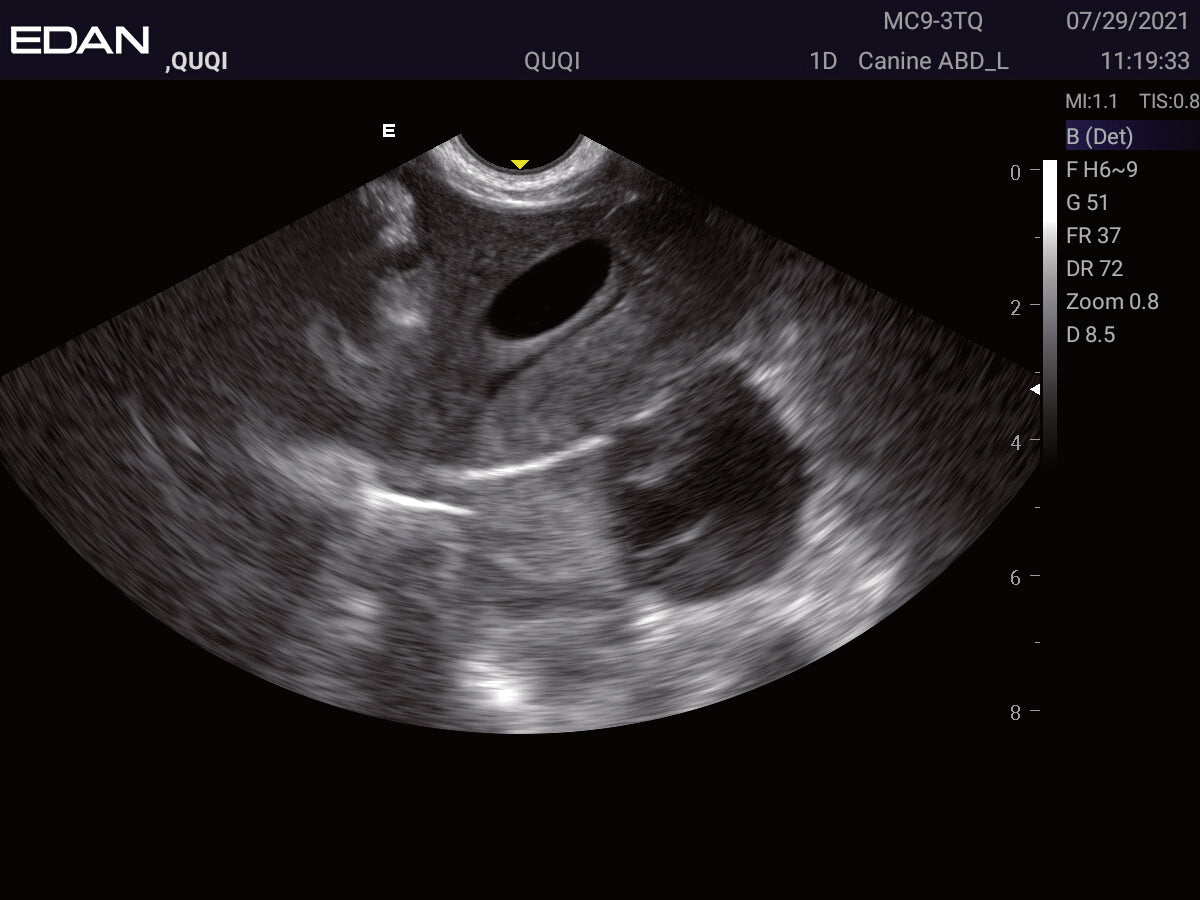 EDAN Acclarix LX2 Vet Ultrasound System