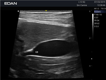 EDAN Acclarix AX3 Vet Ultrasound System