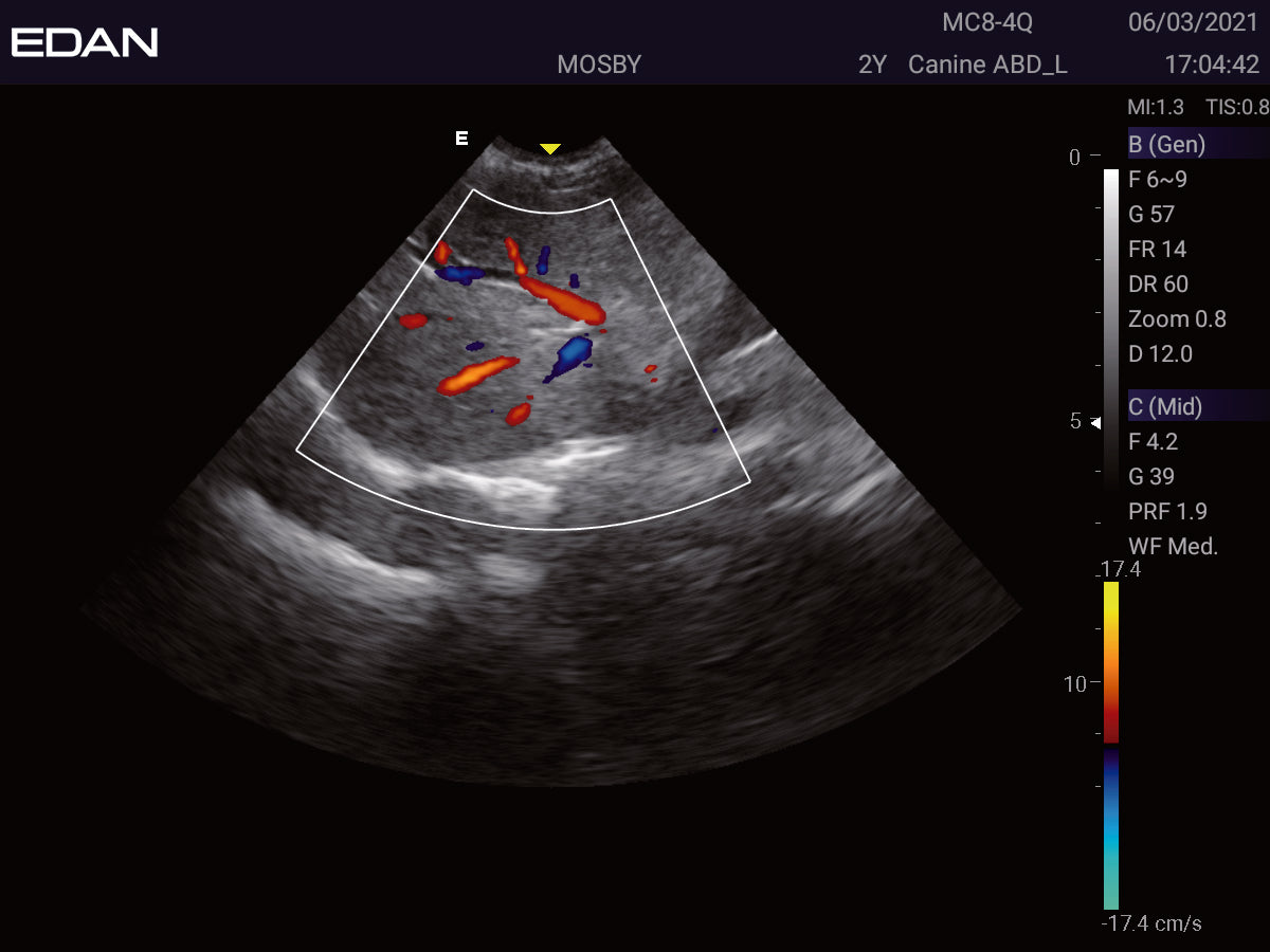EDAN Acclarix LX3 Vet Ultrasound System