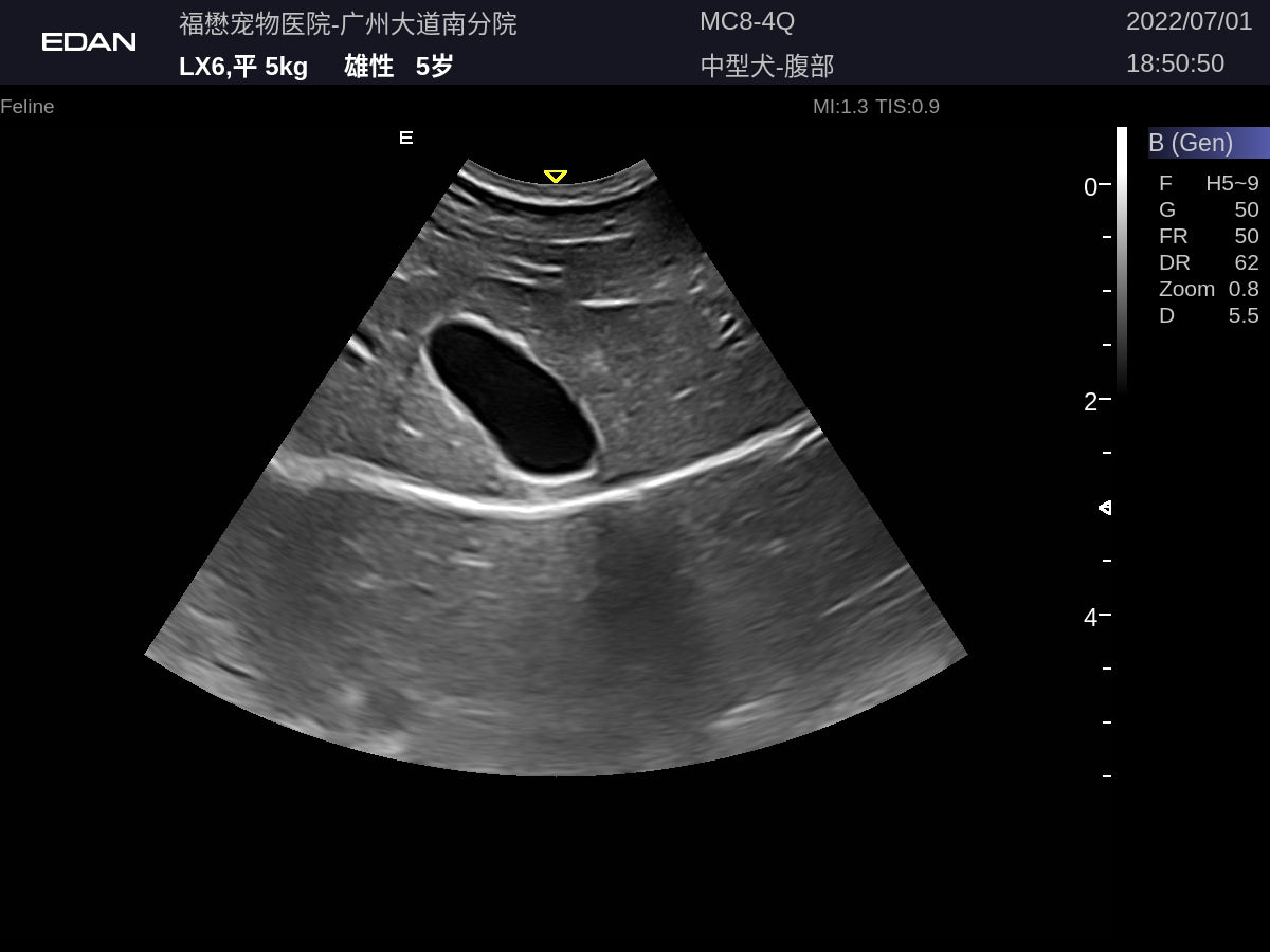 EDAN Acclarix LX9 Vet Ultrasound System