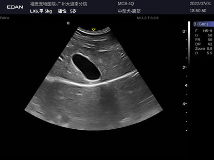 EDAN Acclarix LX9 Vet Ultrasound System