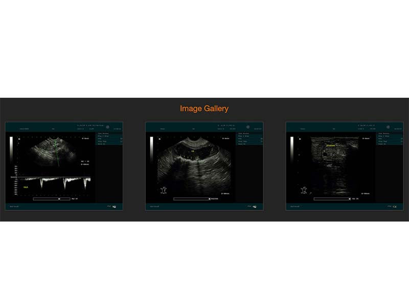 11. DUS60 VET Veterinary B&W Portable Ultrasound (1)