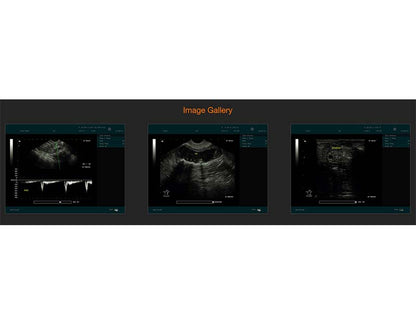 11. DUS60 VET Veterinary B&W Portable Ultrasound (1)