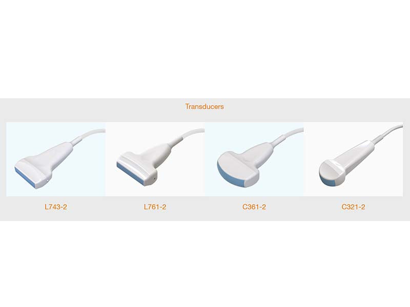 11. DUS60 VET Veterinary B&W Portable Ultrasound (1)