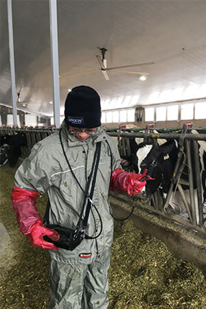 Bovine KXV1KM Pregnancy/Backfat #