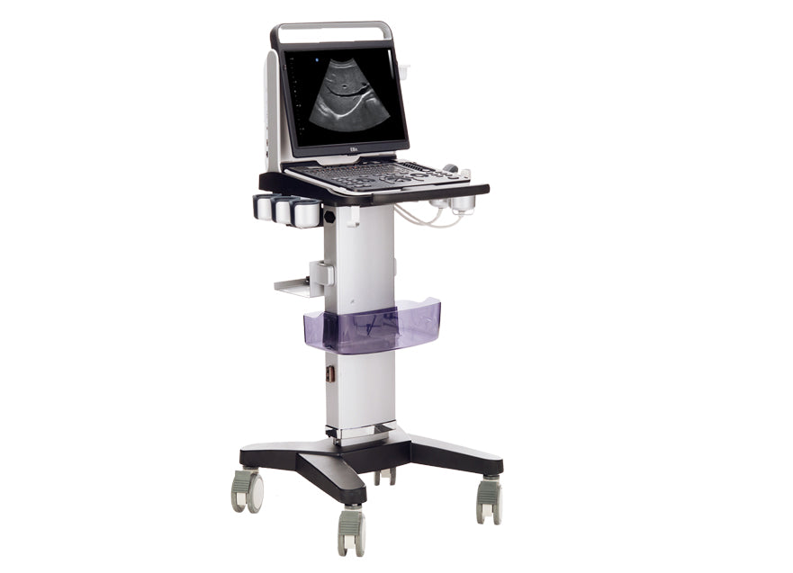 Portable Digital Color Doppler Ultrasound System EBit 60 #
