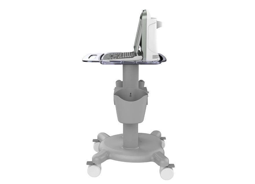 Portable Digital Color Doppler Ultrasound System ECO 6 #