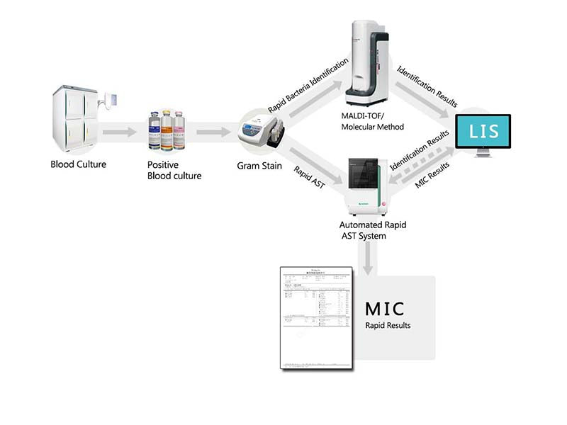 Scenker Formula Automated Rapid AST System