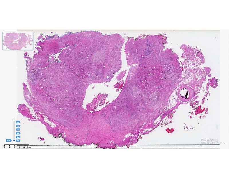 KFBIO KF-PRO-040 Digital Pathology Slide Scanner