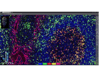 KFBIO KF-FL-005 Digital Pathology Slide Scanner (Fluorescence)