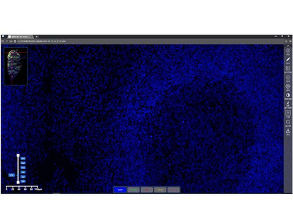 KFBIO KF-FL-120 Digital Pathology Slide Scanner (Fluorescence)