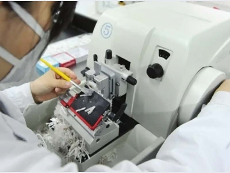 KFBIO KF-SLP-200 Paraffin Rotary Microtome