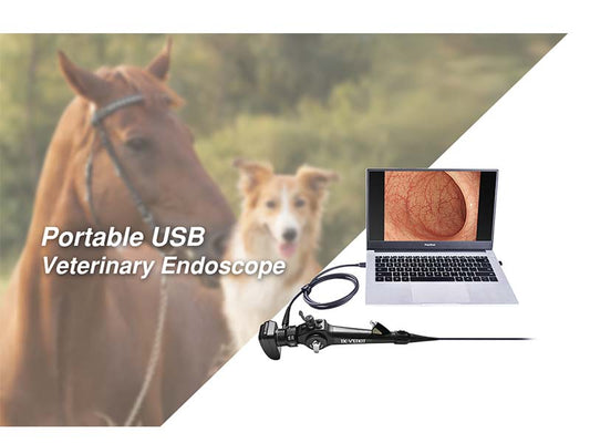 Portable USB Veterinary Endoscope
