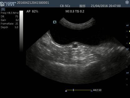 iuStar 100Vet B&W Ultrasound #