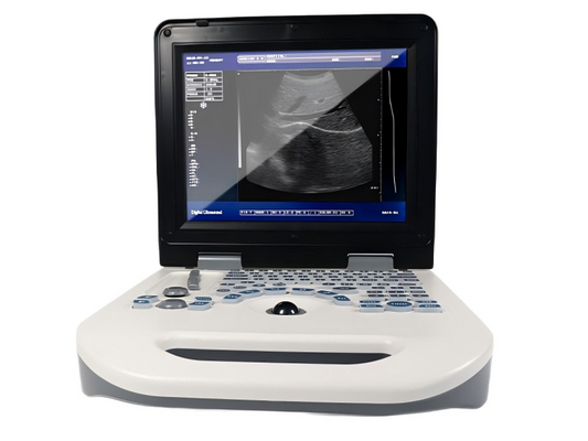 Dolphi S Portable Ultrasound #