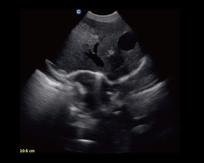 Chison ECO2 VET Ultrasound #