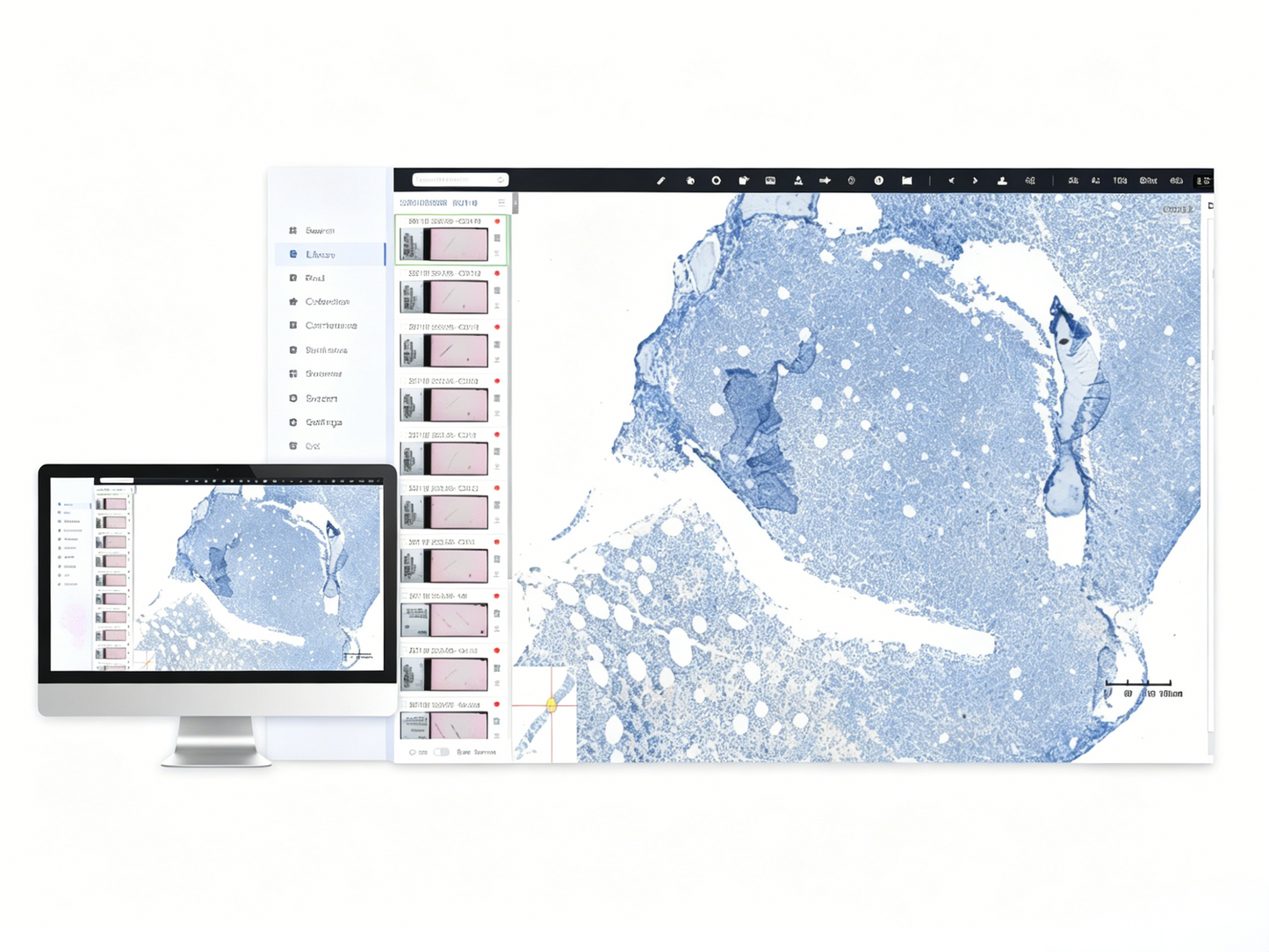 GHM DSMS Digital Slide Management System #