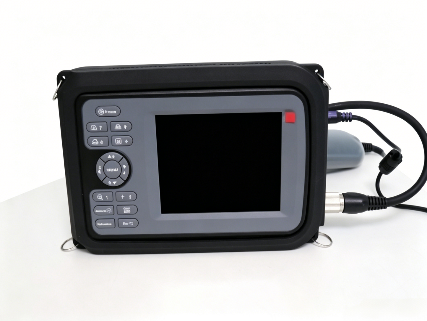 GHM Vet Ultrasound #