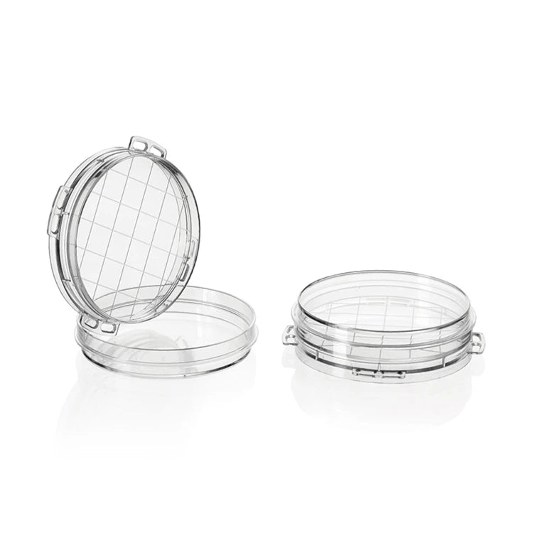 35mm 55mm 60mm Plastic Bacteria Culture Petri Dish #