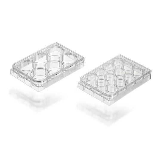 6 ,12,24,48,96 Wells Plate Cell Culture Plate #