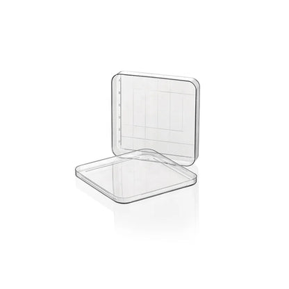 35mm/60mm/70mm/90mm/150mm Different Size Plastic Disposable Petri Dish #