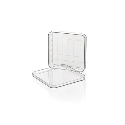 Strong Transmittance Transparent 90mm Ps Lab Plastic Petri Dish for Fungus #