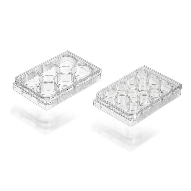 Wholesale Laboratory Supplies Sterile Disposable 96well Tissue Cell Culture Plate #