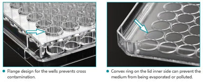 6 ,12,24,48,96 Wells Plate Cell Culture Plate #