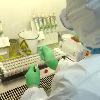 Samples Collection Set Tube and Flock Swab Oral Nasal Swabs test Storage #